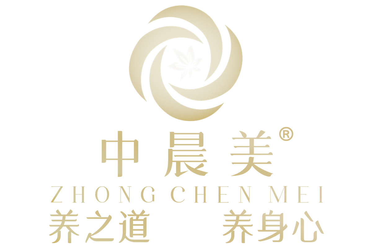 中晨美